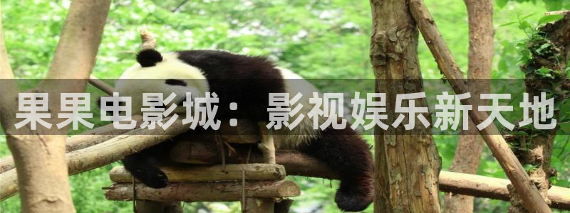 午夜伦理影院在线观看