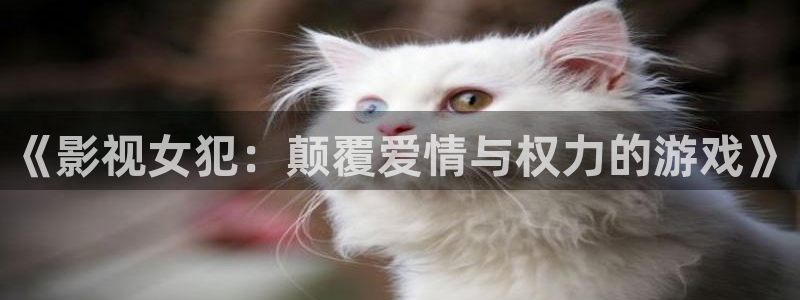 eeuss2012天堂伦理影院：《影视女犯：颠覆爱情与权力的游戏》