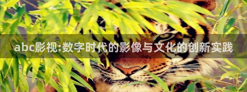 国外伦理影院：abc影视:数字时代的影像与文化的创新实践