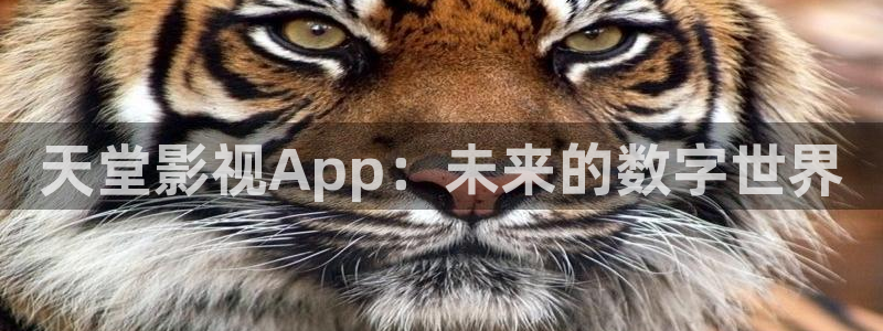 91伦理影院：天堂影视App：未来的数字世界