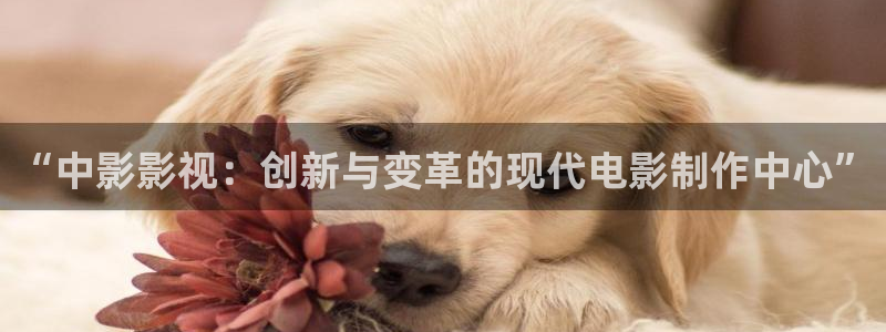 秋霞在线伦理影视