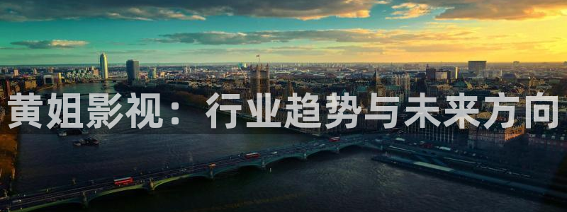 国产伦理影院：黄姐影视：行业趋势与未来方向