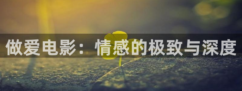 日韩伦理影片在线观看：做爱电影：情感的极致与深度