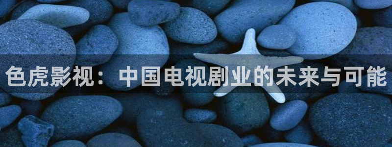 235伦理影视：色虎影视：中国电视剧业的未来与可能