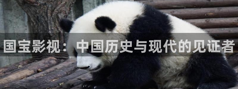 大陆伦理影片：国宝影视：中国历史与现代的见证者